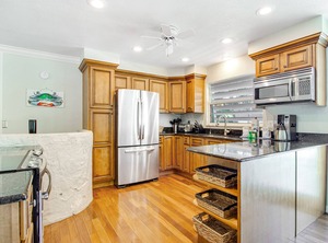 Southern Magnolia | Anna Maria