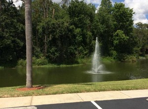 Resort Royal Palm Bay | Royal Palm Bay