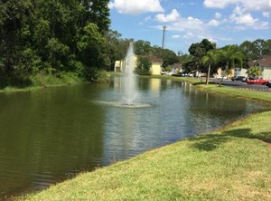 Resort Royal Palm Bay | Royal Palm Bay