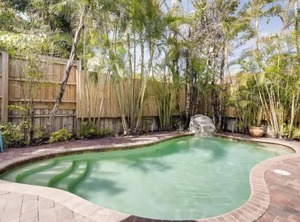 The Periwinkle | Flamingo Parks