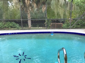 Mineral Springs | Warm Mineral Springs