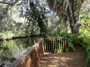 Mineral Springs | Warm Mineral Springs