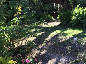 Mineral Springs | Warm Mineral Springs