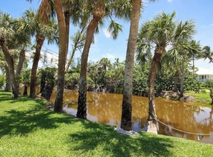 West Paradise | Tradewinds