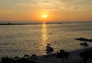 The Dolphins Beach Club Ascend Hotel | Clearwater Beach