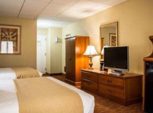 The Dolphins Beach Club Ascend Hotel | Clearwater Beach