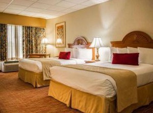 The Dolphins Beach Club Ascend Hotel | Clearwater Beach
