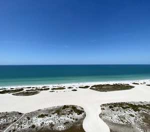 Bay Clearwater 