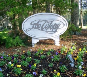 Colony 