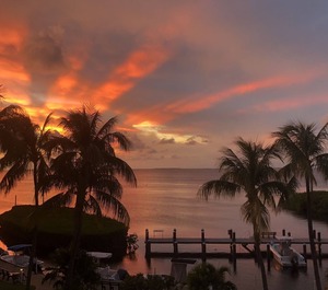 Summer Sea Islamorada 