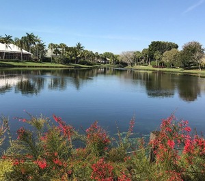 Pelican Bay 