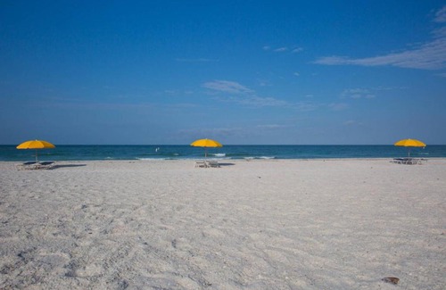 Treasure Island House | 1 - Seahorse Cottages