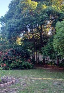 Groveland Bed & Breakfast | 17 m² Bed and breakfast ∙ 5 guests