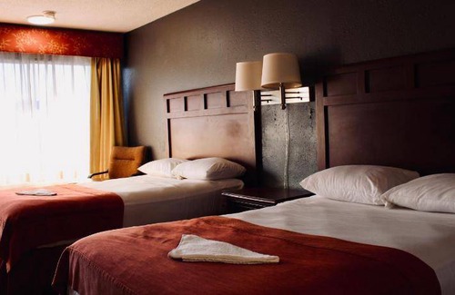 Gulf Highlands Hotel | 17 m² Hotel ∙ 4 guests