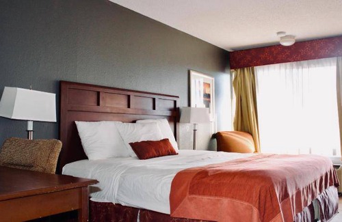 Gulf Highlands Hotel | 17 m² Hotel ∙ 4 guests