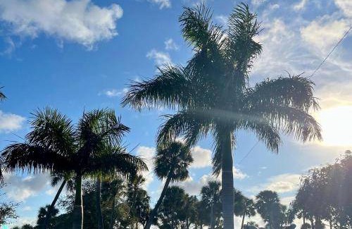 South Palm Park Neighborhood Association Bed & Breakfast | 19 m² Bed and breakfast ∙ 1 bedroom ∙ 2 guests