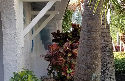 Delray Beach House | 3 Bed 3 Bath Downtown Delray Beach Vacation Home