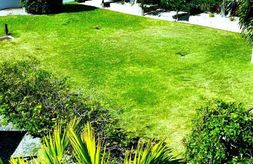 Whitfield Hotel | 30 m² Hotel ∙ 127 guests