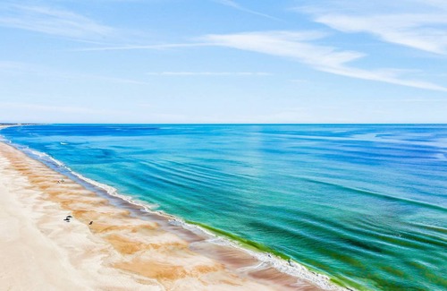 Fernandina Beach Condo | 32 m² Condo ∙ 1 bedroom ∙ 4 guests