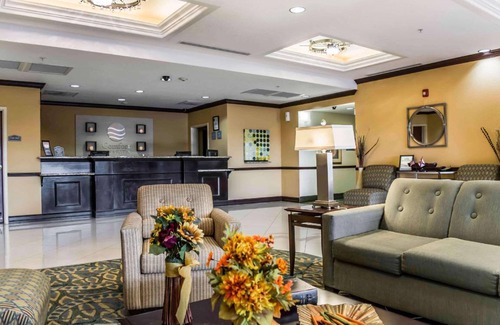 St. Petersburg - Clearwater Hotel | 32 m² Hotel ∙ 127 guests