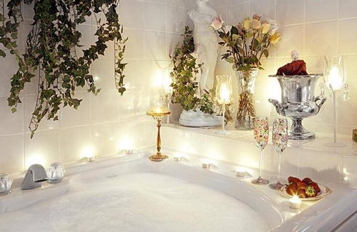 Parrot Cove Bed & Breakfast | 37 m² Bed and breakfast ∙ 4 guests