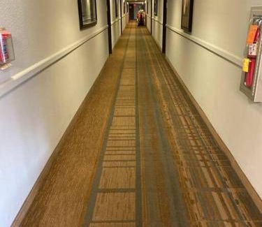 Southwest Orlando Apartment | 38 m² Apartment ∙ 1 bedroom ∙ 3 guests