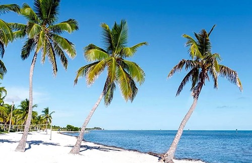 Key West Hotel | 4-Star Hotel ∙ Parrot Key Hotel & Villas