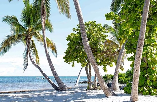 Key West Hotel | 4-Star Hotel ∙ Parrot Key Hotel & Villas