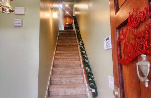 Dolphin's Cove Apartment | 74 m² Apartment ∙ 2 bedrooms ∙ 3 guests
