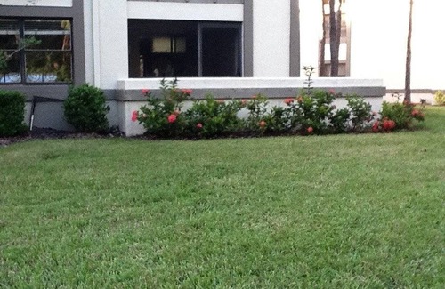 Oldsmar Condo | 86 m² Condo ∙ 2 bedrooms ∙ 4 guests