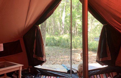 Citrus Springs Other | Camping ∙ 1 bedroom ∙ 3 guests
