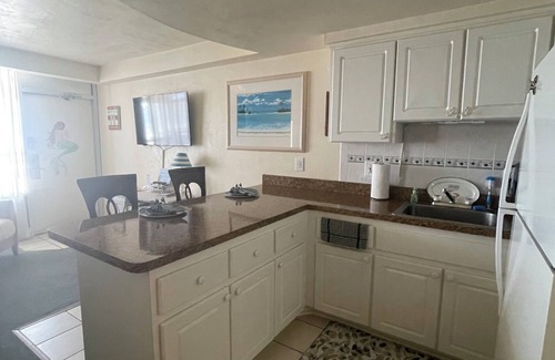 Ortona Park Condo | Charming Mermaid Lair Oceanfront 1-bedroom condo in beautiful Daytona Beach