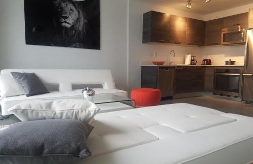 Downtown Miami Apartment | Downtown Miami Deluxe Apartment