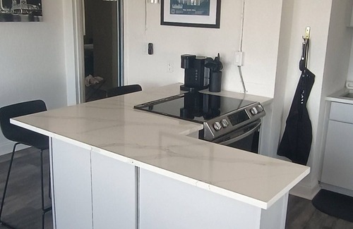 Downtown Jacksonville Condo | Gorgeous Modern Downtown Jacksonville Penthouse Close to Everything!