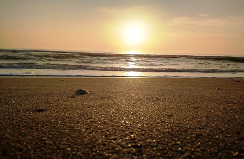 Satellite Beach Apartment | Ocean Front Complex -Beautiful Ocean Views! Can't Get Any Closer To The Ocean!
