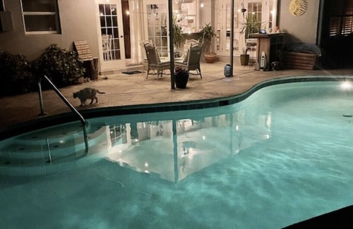 Central Naples House | One-bedroom Pool Home Kitchen Share with PRIVACY and Coastal Vibes