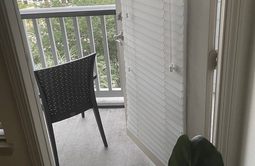 St. Petersburg - Clearwater Apartment | Pool view!!