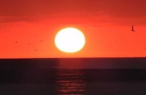 Siesta Key Apartment | Relax in comfort at Sea Winds! Great 1 bedroom unit. Only a short walk to the beach! 2 WEEK MINIMUM