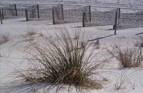 Miramar Beach Condo | Sandprints, Sea and Sunshine