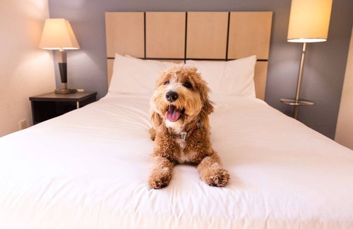 Baymeadows House | SuiteLife Haven: Modern Suites for Business & Leisure Travelers