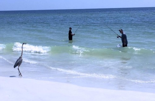 Holmes Beach Apartment | Sunshine Beach Rentals