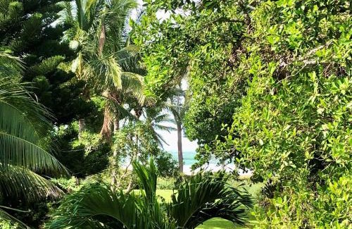 Anna Maria House | The Lady Fish Home