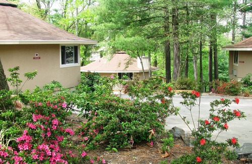 Asheville Villa | 1 Bedroom Vacation Villa