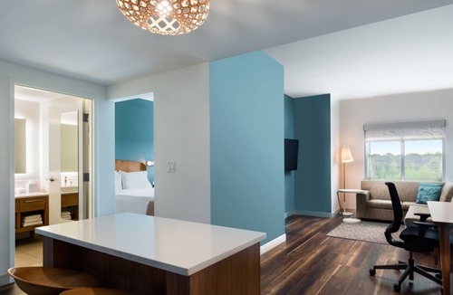 Williamsburg Hotel | 1 King Suite | Element Orlando | Pet-Friendly with Kitchen & Sofa Bed