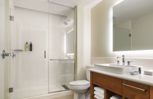Williamsburg Hotel | 1 King Suite | Element Orlando | Pet-Friendly with Kitchen & Sofa Bed