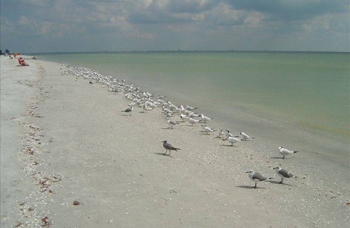 Sanibel House | 112 m² House ∙ 2 bedrooms ∙ 4 guests