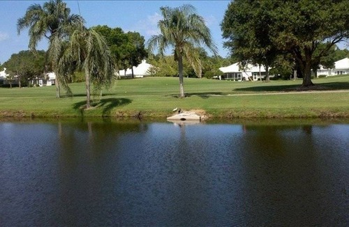 Plantation Condo | 118 m² Condo ∙ 2 bedrooms ∙ 4 guests