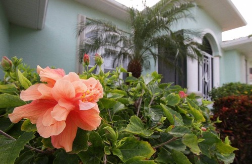 Pine Valley Villa | 195 m² Villa ∙ 3 bedrooms ∙ 6 guests