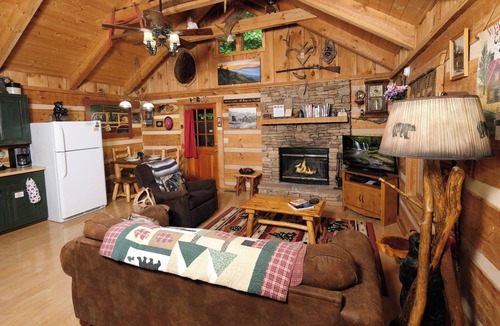 Sevierville Cabin | 1BR dog friendly log cabin with hot tub, gazebo, firepit, and a yard!