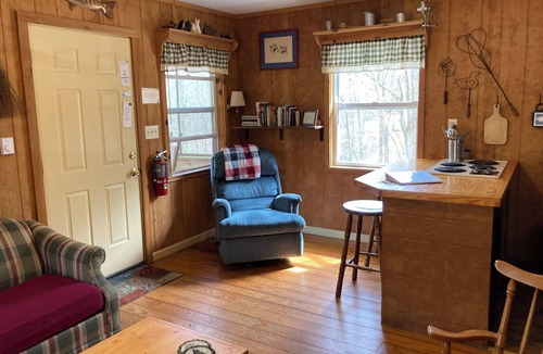 Brevard Cabin | 1BR Dogwood Den - Ash Grove